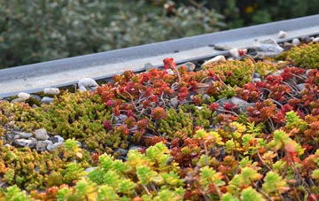 the cost of Saffron Walden green roof installation