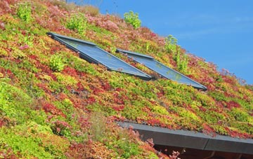 Saffron Walden living roof systems